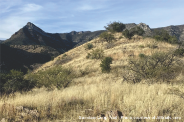 GUINDANI LOOP TRAIL IN BENSON, AZ